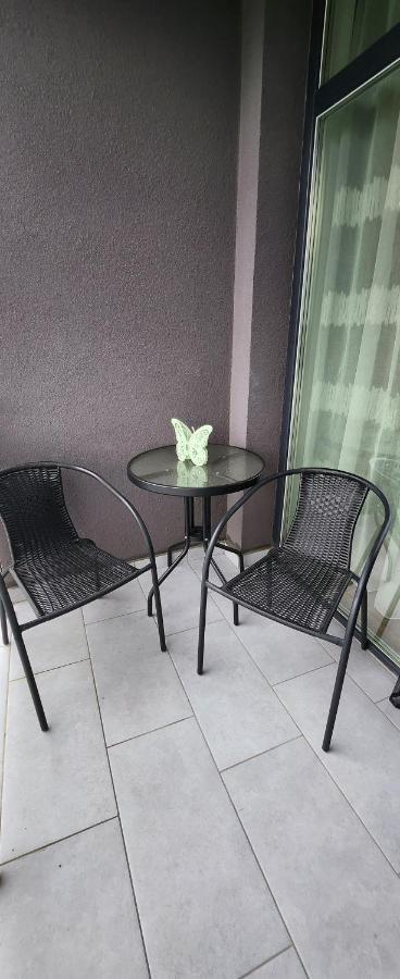 Butterfly Timişoara