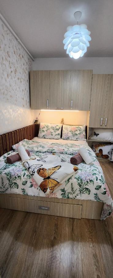 Butterfly Appartement Timişoara