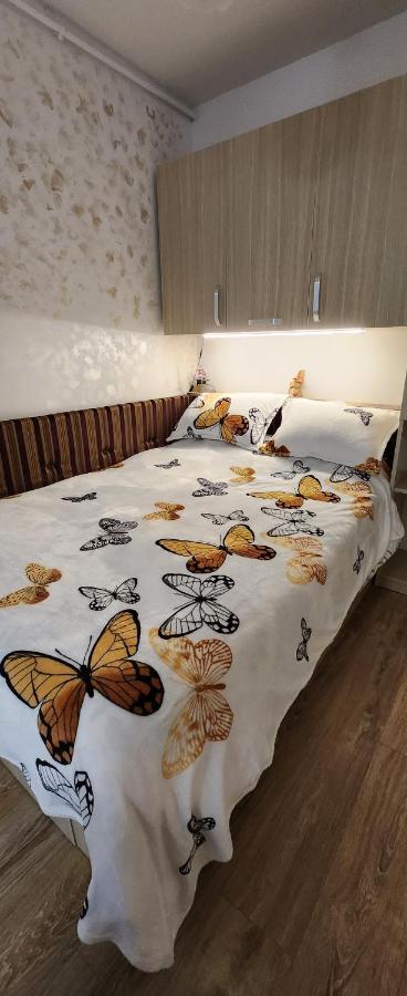 Butterfly *